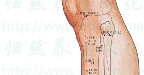 金門穴功效|醫砭 » 經穴庫 » 金門